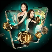 WINBOSS Recommend Live Casino 4